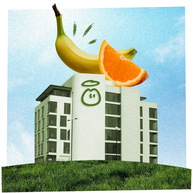 an image of the innocent office
