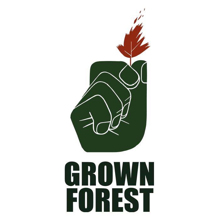 grown forest