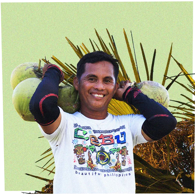 farmer carrying coconuts